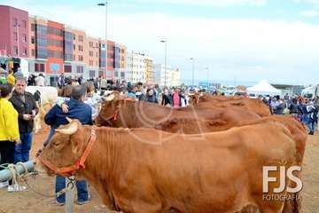 Los Llanos de Telde, en el día grande de sus fiestas patronales de 2019 (Foto Francisco Javier Santana)